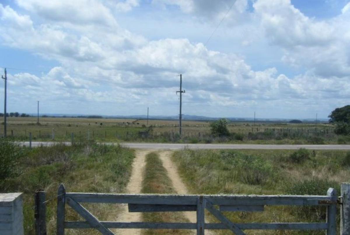 , Rocha, Rocha, Uruguay Farm For Sale at GLOBAL LISTINGS