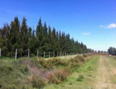 Residential Land For Sale in Colonia, Uruguay