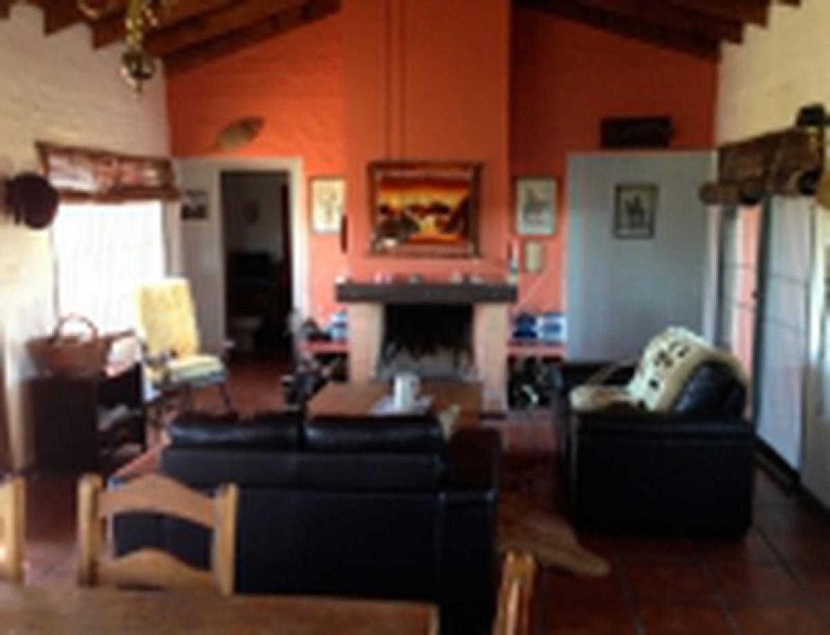 Picture of Farm For Sale in Colonia, Colonia, Uruguay