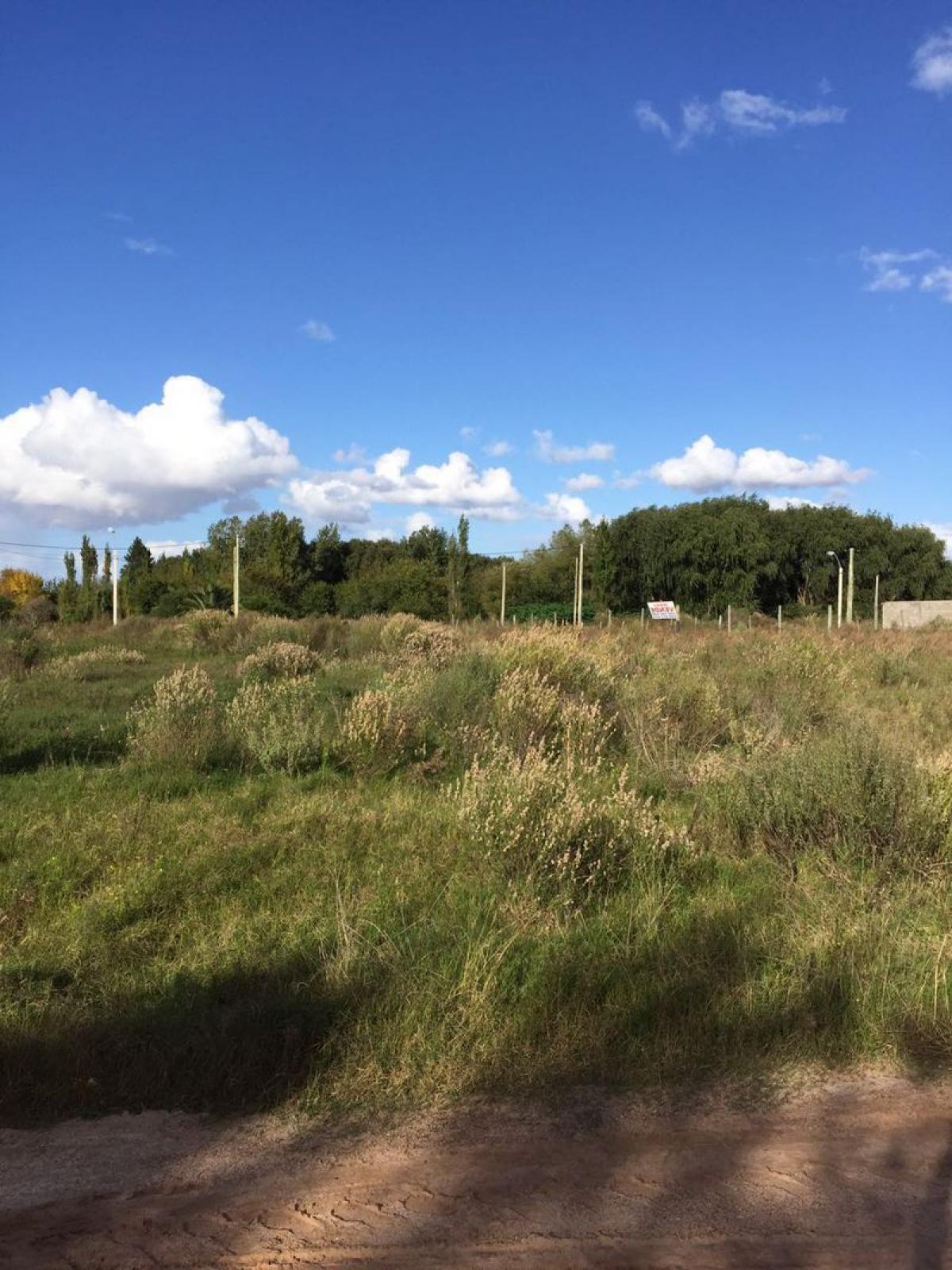 Picture of Residential Land For Sale in Colonia, Colonia, Uruguay