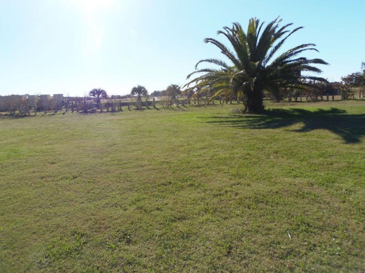Picture of Residential Land For Sale in Colonia, Colonia, Uruguay