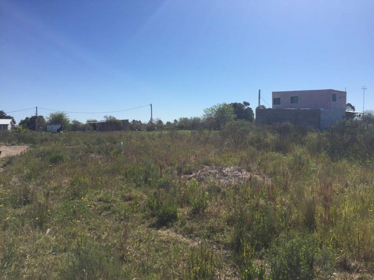 Picture of Residential Land For Sale in Colonia, Colonia, Uruguay