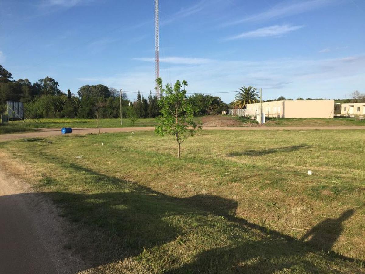 Picture of Residential Land For Sale in Colonia, Colonia, Uruguay