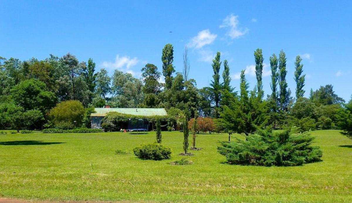 Picture of Farm For Sale in Maldonado, Maldonado, Uruguay