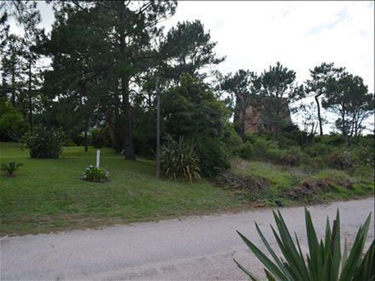 Picture of Residential Land For Sale in Maldonado, Maldonado, Uruguay
