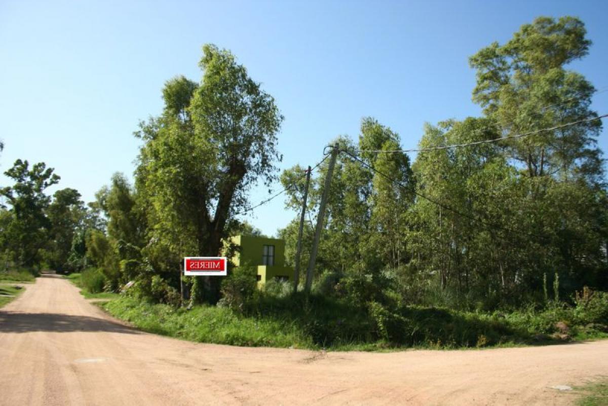 Picture of Residential Land For Sale in Maldonado, Maldonado, Uruguay