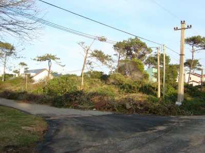 Residential Land For Sale in