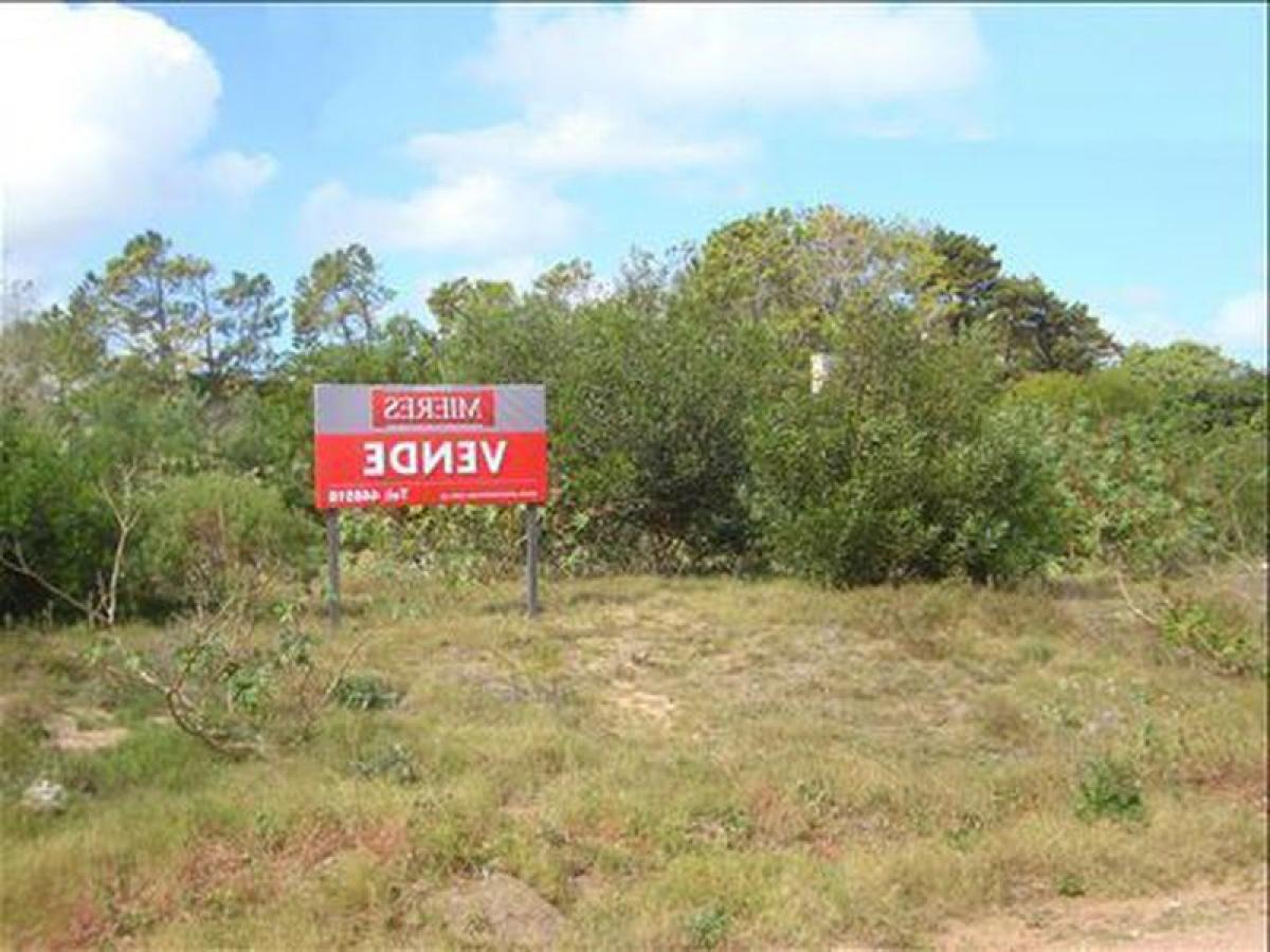 Picture of Residential Land For Sale in Maldonado, Maldonado, Uruguay