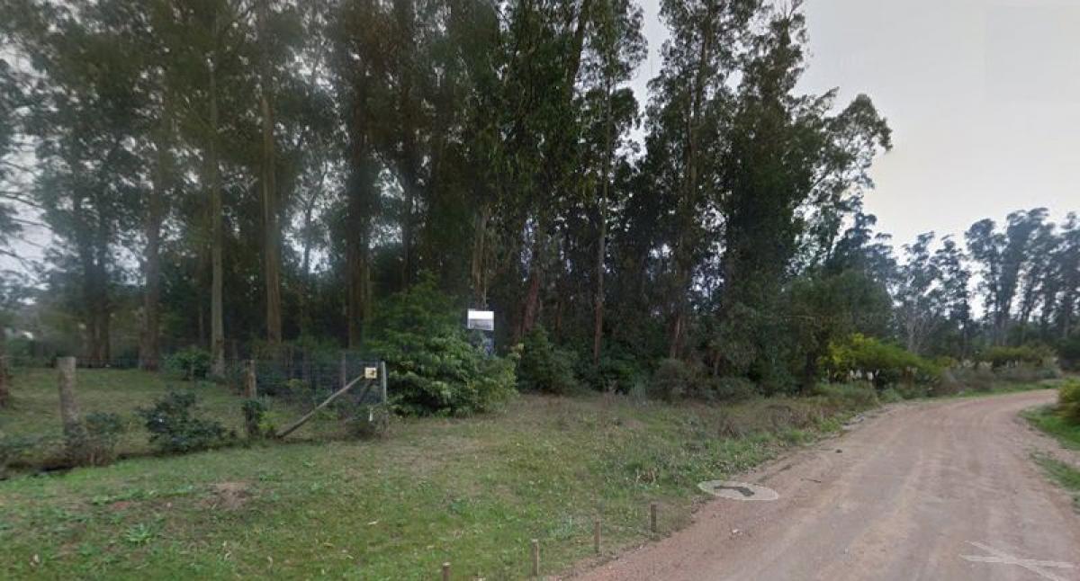 Picture of Residential Land For Sale in Maldonado, Maldonado, Uruguay