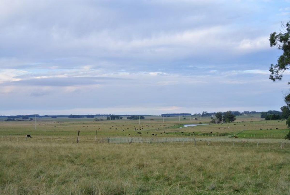Picture of Farm For Sale in Rocha, Rocha, Uruguay