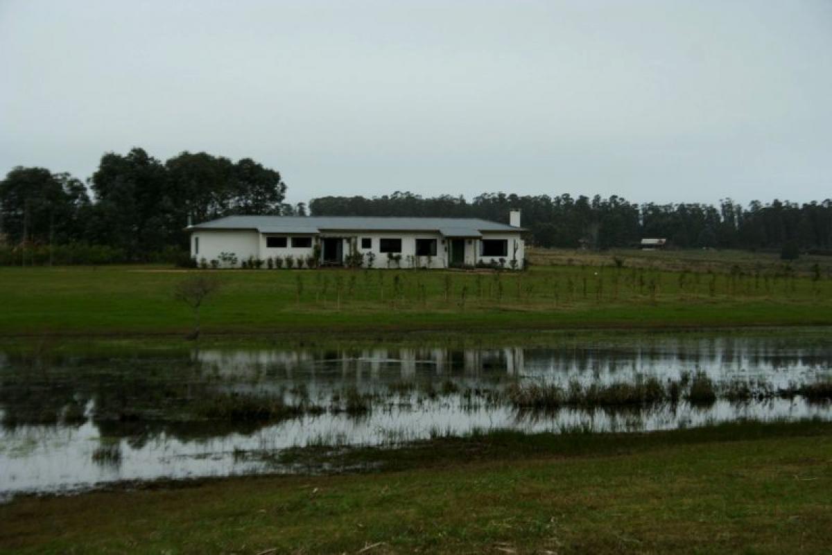 Picture of Farm For Sale in Maldonado, Maldonado, Uruguay