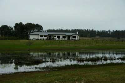 Farm For Sale in Maldonado, Uruguay
