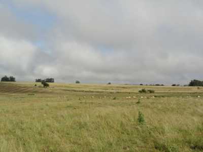 Farm For Sale in Maldonado, Uruguay