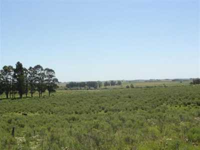 Farm For Sale in Maldonado, Uruguay