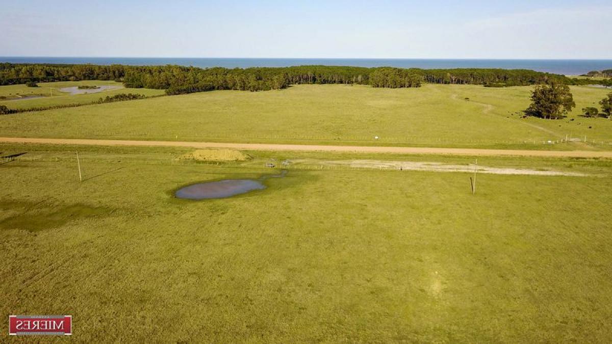 Picture of Farm For Sale in Maldonado, Maldonado, Uruguay