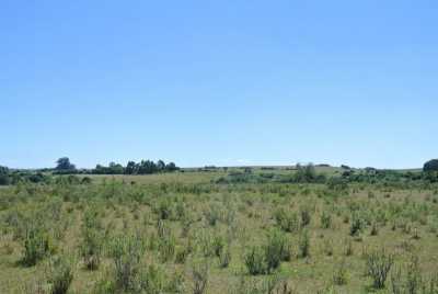 Farm For Sale in Maldonado, Uruguay