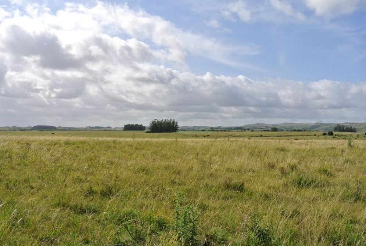 Picture of Farm For Sale in Maldonado, Maldonado, Uruguay