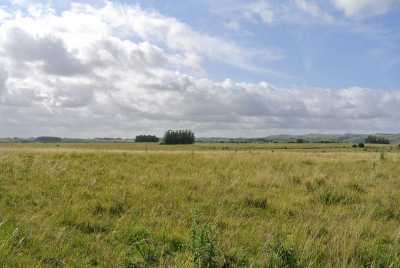 Farm For Sale in Maldonado, Uruguay