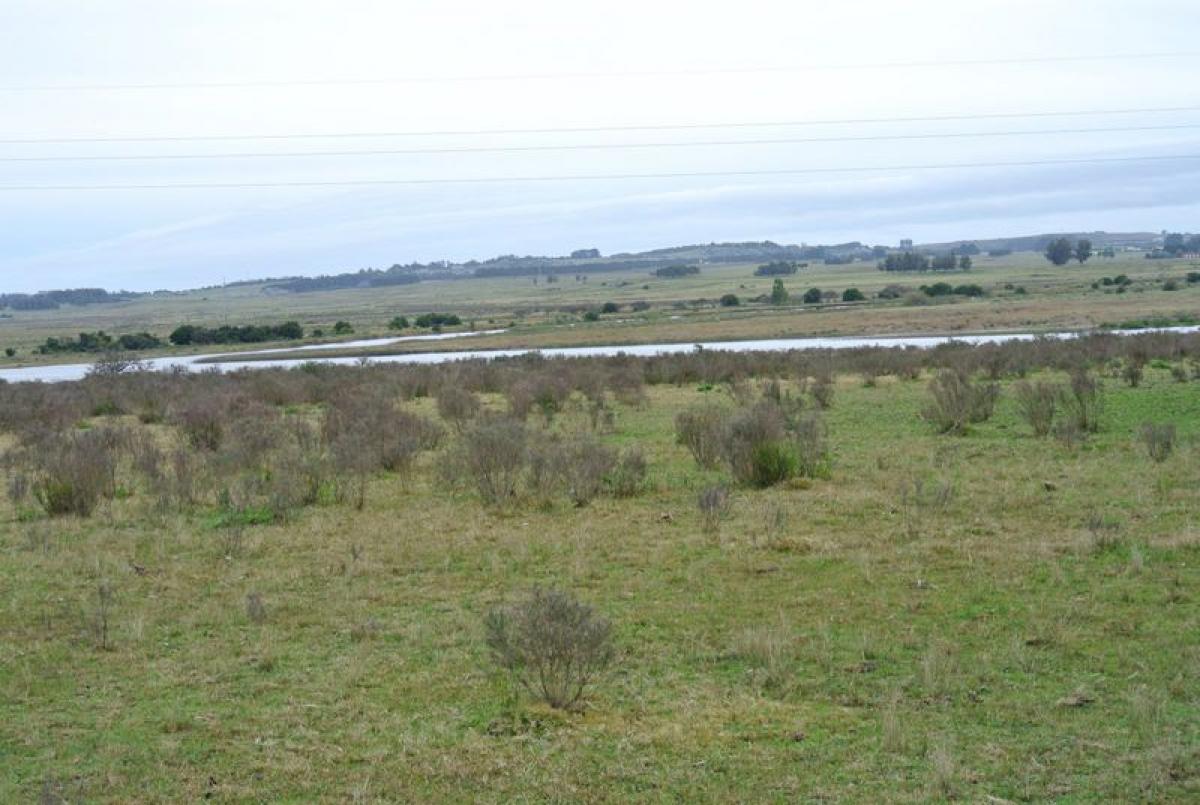 Picture of Farm For Sale in Maldonado, Maldonado, Uruguay