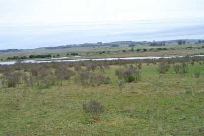 Farm For Sale in Maldonado, Uruguay