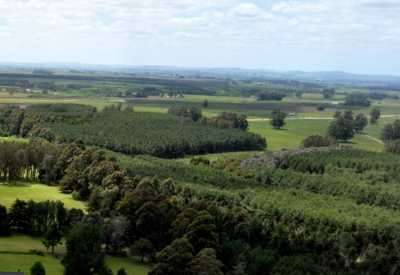 Farm For Sale in Maldonado, Uruguay