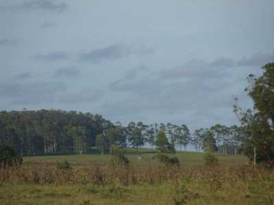 Farm For Sale in Maldonado, Uruguay