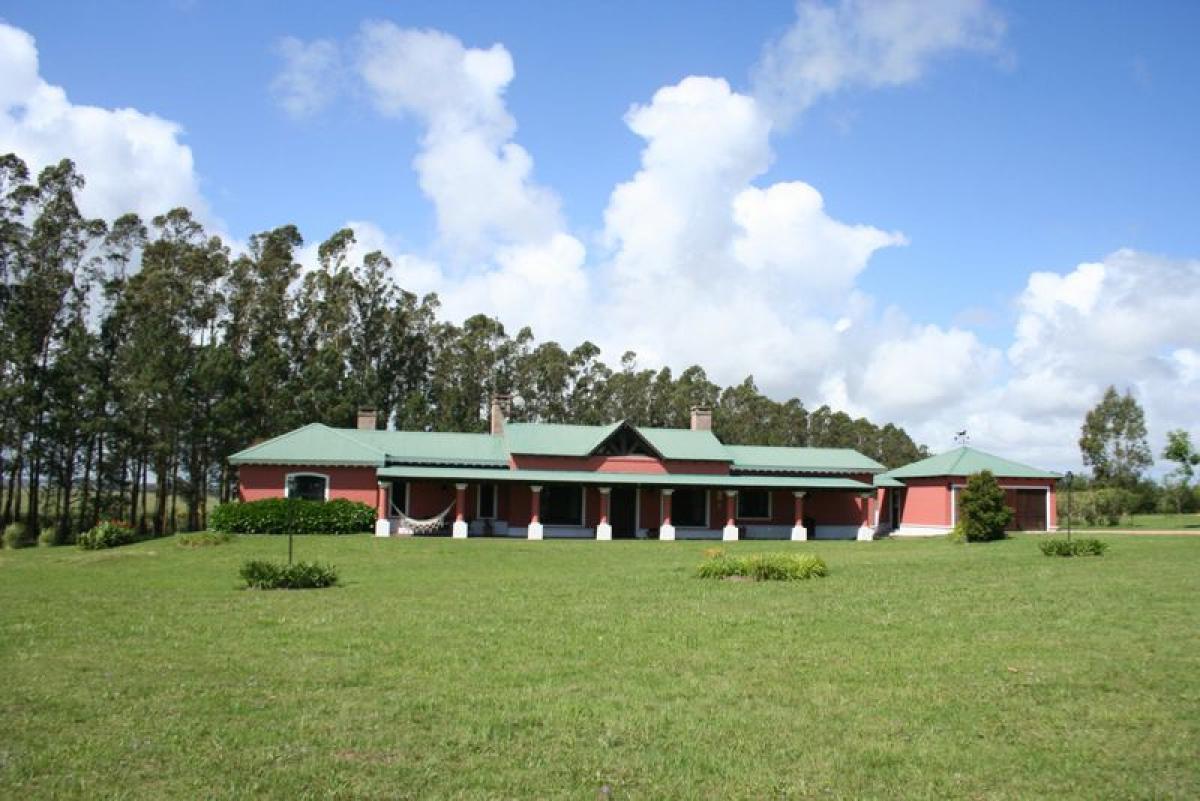 Picture of Farm For Sale in Maldonado, Maldonado, Uruguay