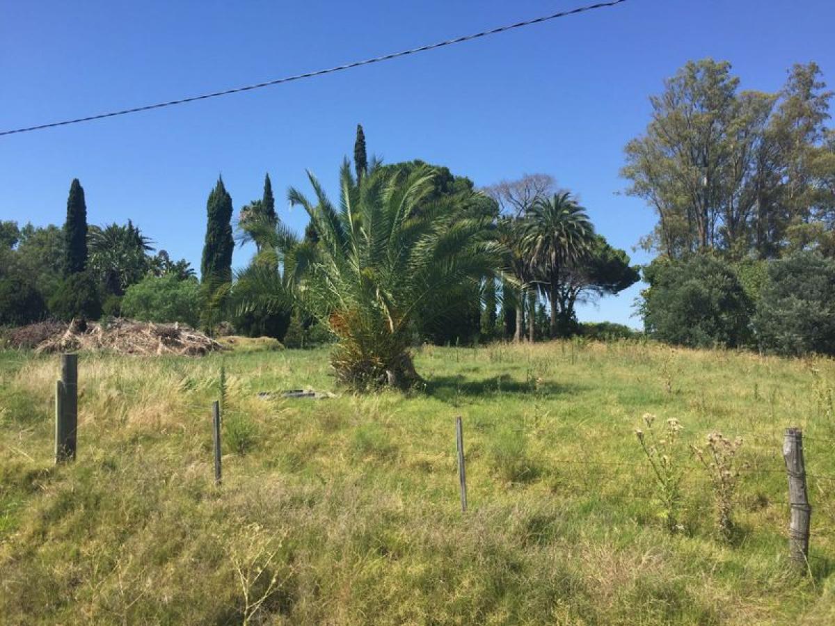 Picture of Residential Land For Sale in Colonia, Colonia, Uruguay