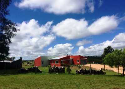 Farm For Sale in