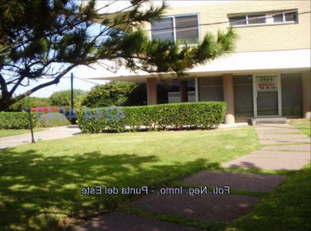 Picture of Other Commercial For Sale in Punta Del Este, Maldonado, Uruguay