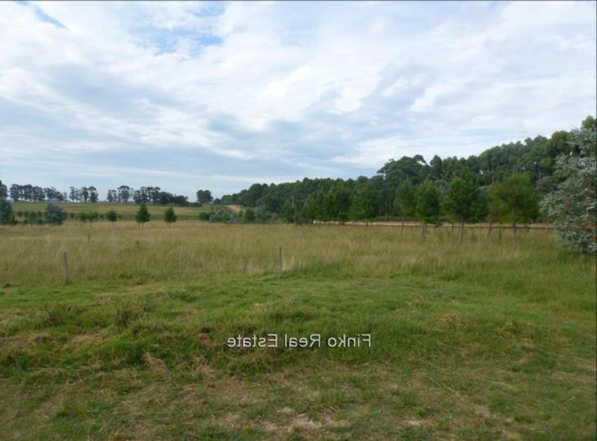 La Paloma, Rocha, Rocha, Uruguay Homes For Sale at GLOBAL LISTINGS