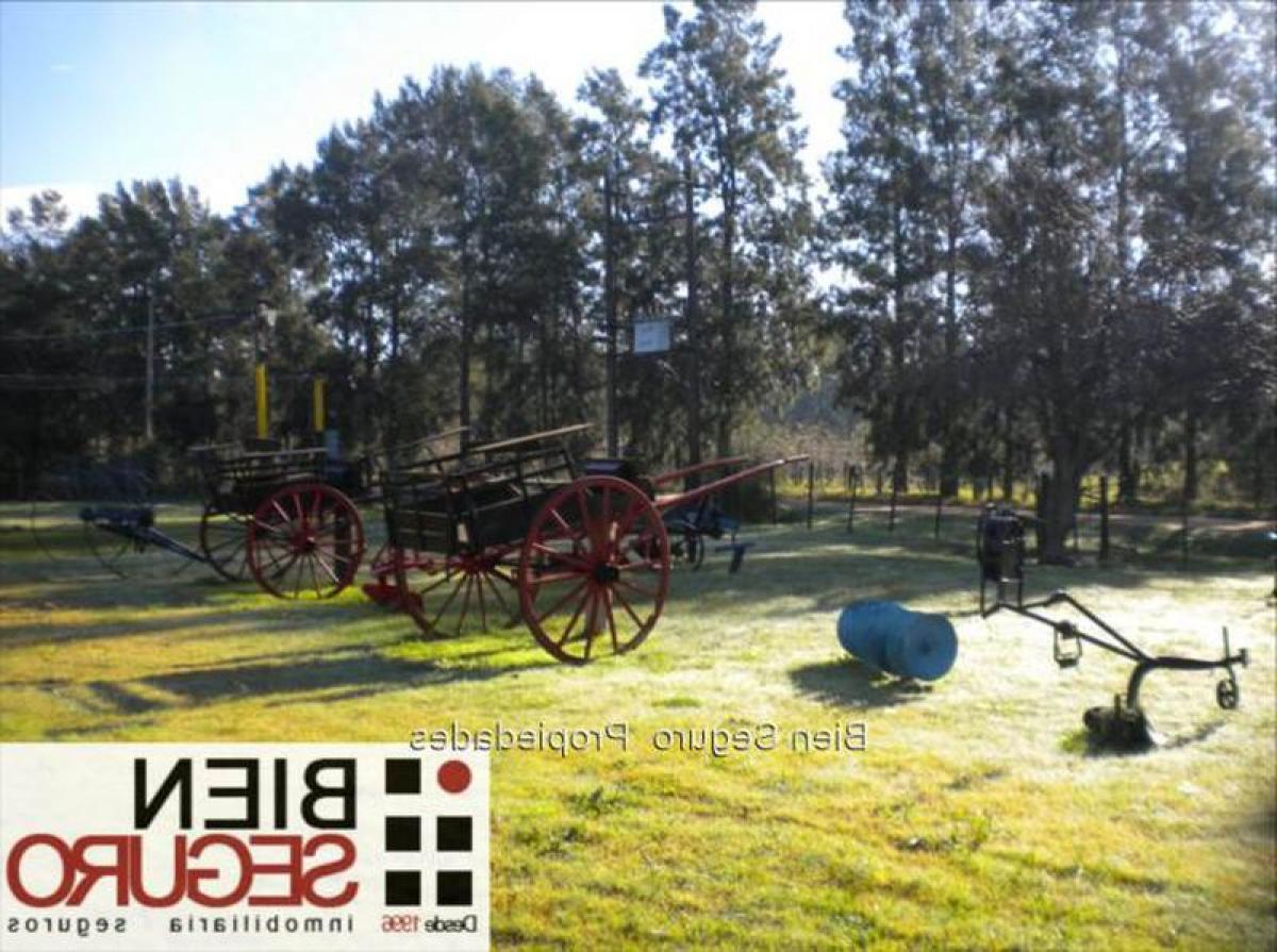 Picture of Home For Sale in Canelones, Canelones, Uruguay