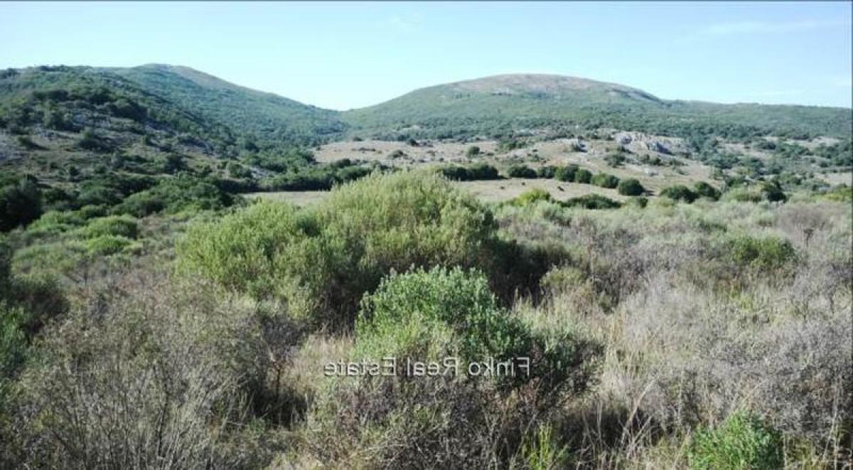 Picture of Home For Sale in Lavalleja, Lavalleja, Uruguay