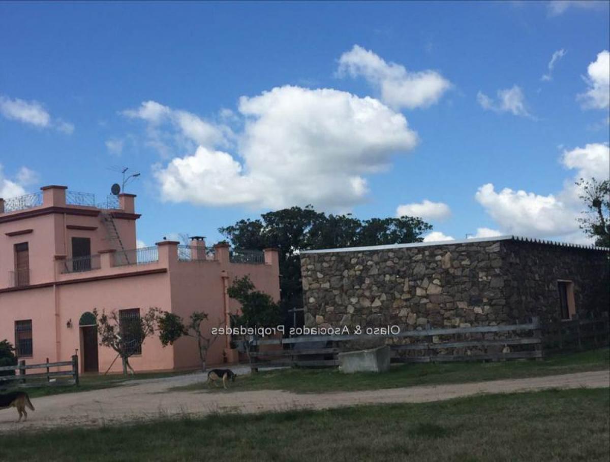 Picture of Home For Sale in Florida, Florida, Uruguay