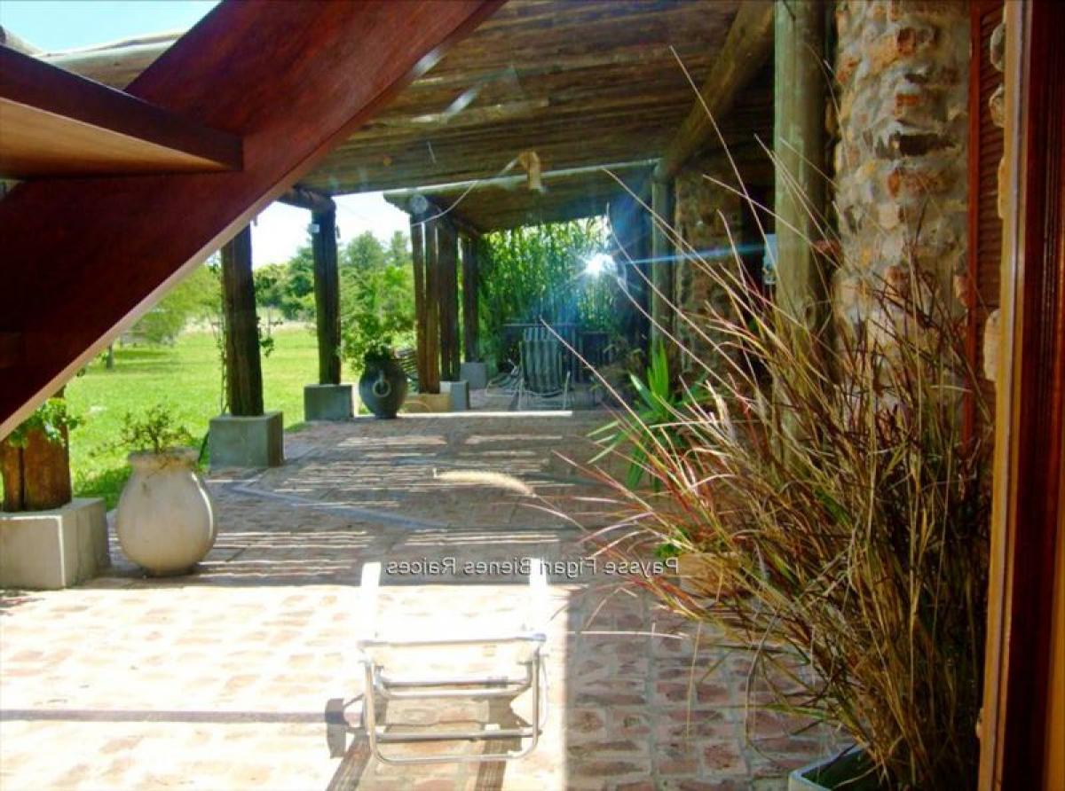 Picture of Home For Sale in Paysandu, Paysandu, Uruguay