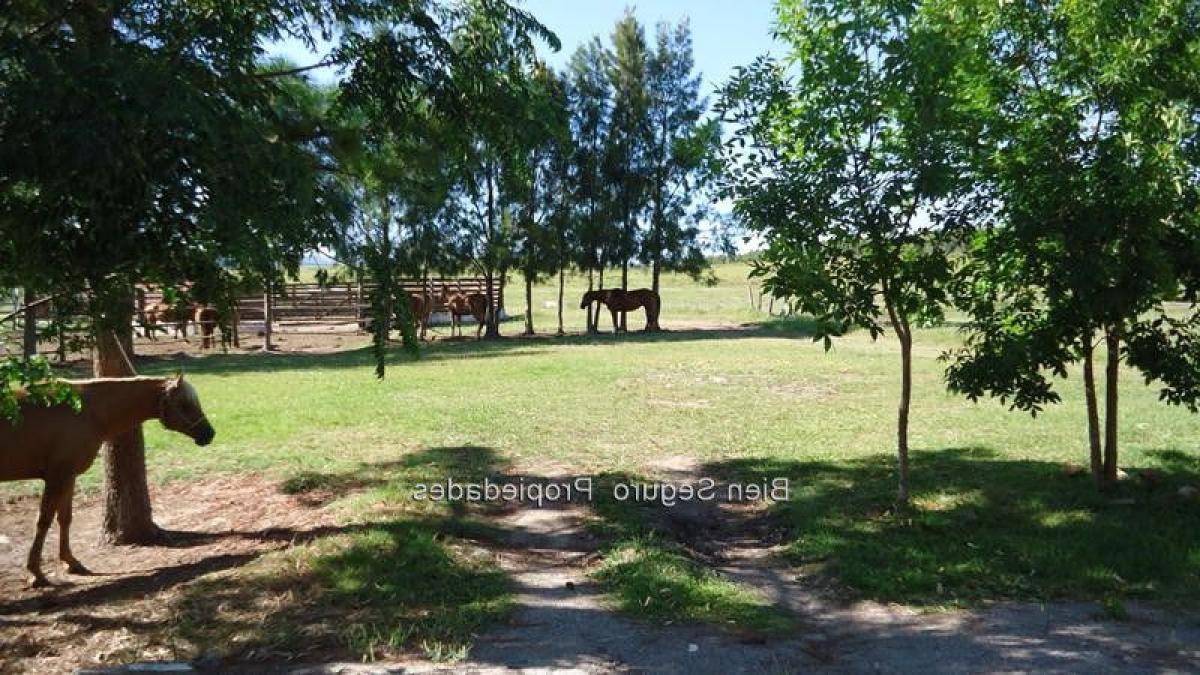 Picture of Home For Sale in Lavalleja, Lavalleja, Uruguay