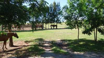 Home For Sale in Lavalleja, Uruguay