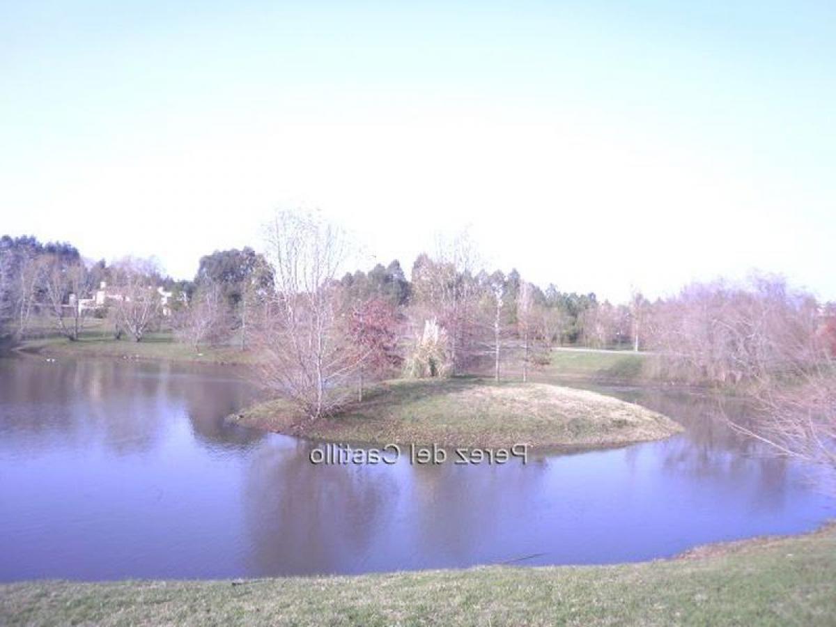 Picture of Residential Land For Sale in Montevideo, Montevideo, Uruguay