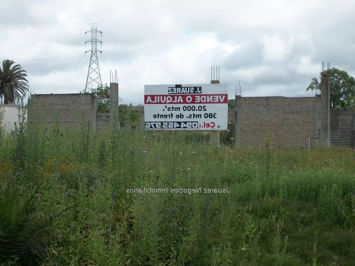 Picture of Residential Land For Sale in Montevideo, Montevideo, Uruguay