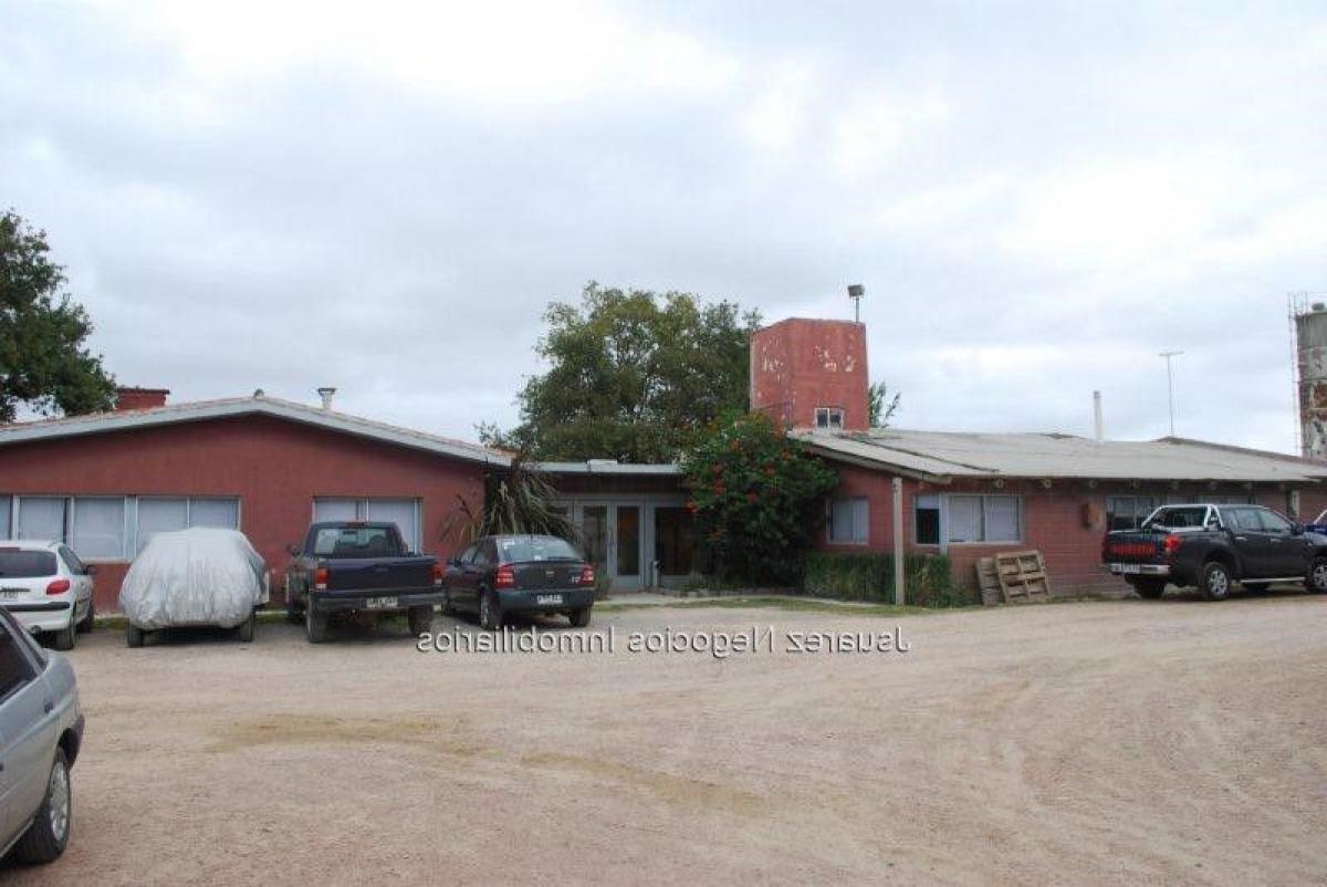 Picture of Apartment Building For Sale in Montevideo, Montevideo, Uruguay