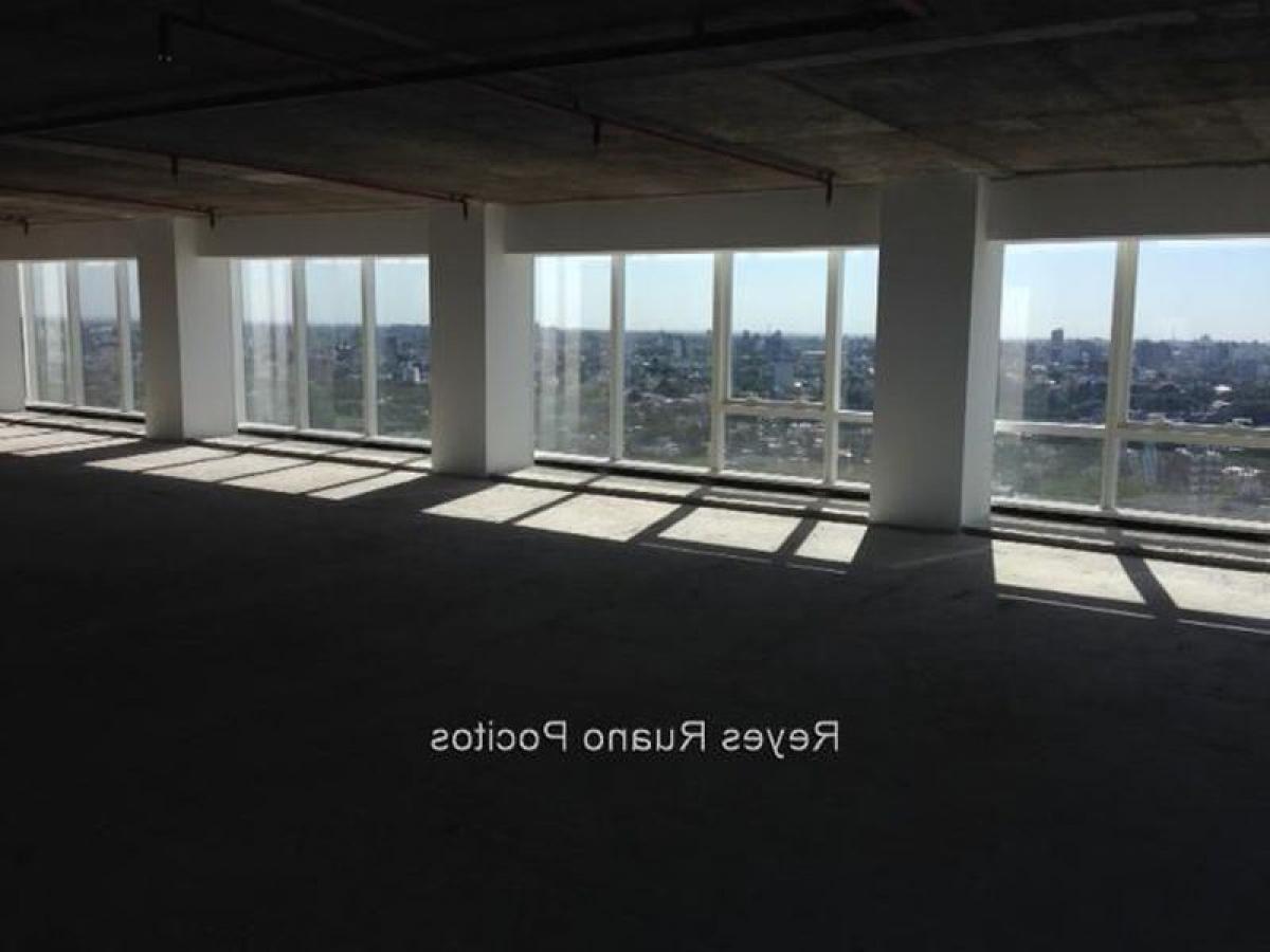 Picture of Office For Sale in Montevideo, Montevideo, Uruguay