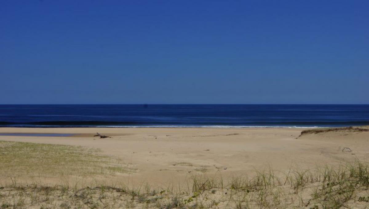 Picture of Residential Land For Sale in Rocha, Rocha, Uruguay