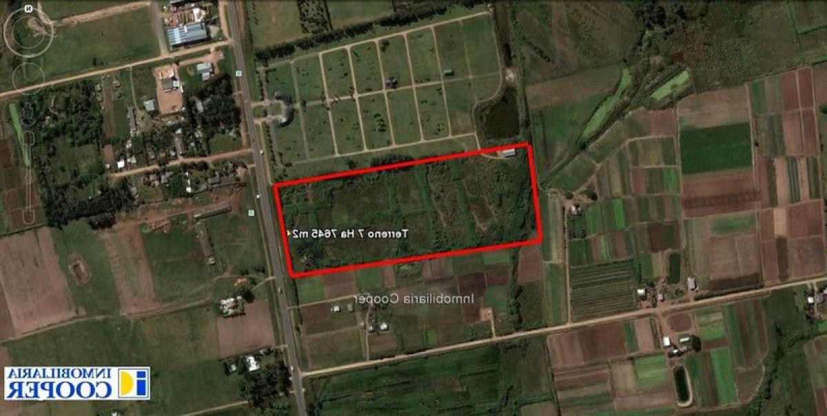 Picture of Residential Land For Sale in Canelones, Canelones, Uruguay