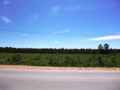 Farm For Sale in 