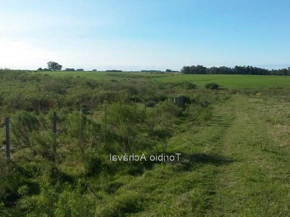 Picture of Home For Sale in Colonia, Colonia, Uruguay