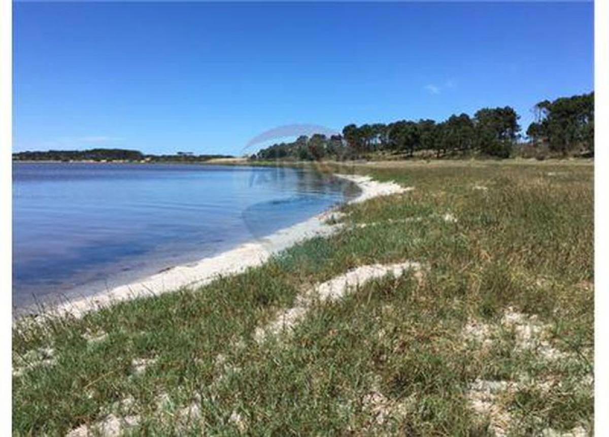 Picture of Residential Land For Sale in Rocha, Rocha, Uruguay