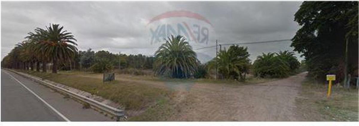 Picture of Residential Land For Sale in Colonia, Colonia, Uruguay