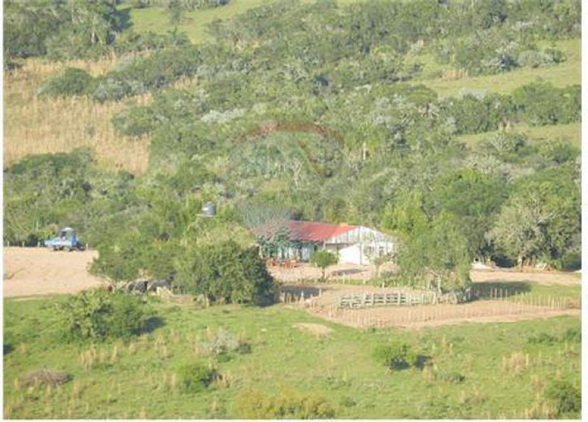 Picture of Home For Sale in Cerro Largo, Cerro Largo, Uruguay