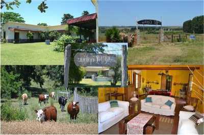 Home For Sale in Soriano, Uruguay