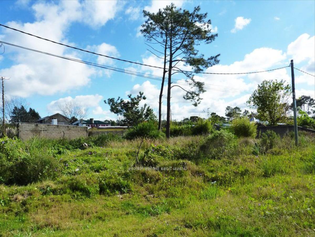 Picture of Residential Land For Sale in Canelones, Canelones, Uruguay
